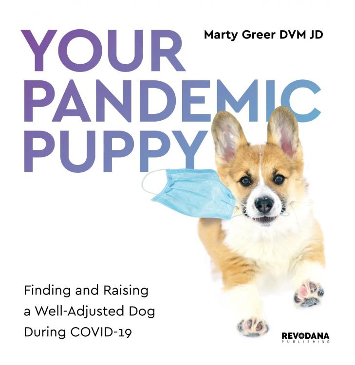 Pandemic Puppy.jpg