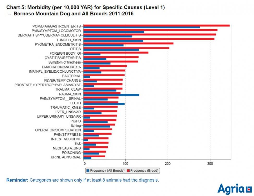 agria -bmd vce level 1 -11-16.JPG