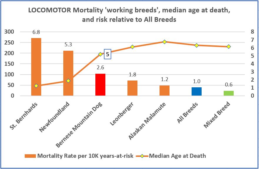 working breeds - agria 11-16-locomotor.JPG