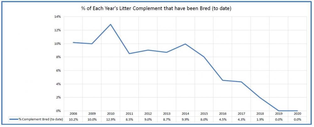 BRT-AKC-percent bred.JPG