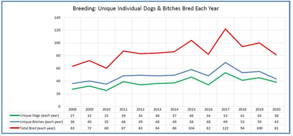BRT-AKC- BRT - dogs bred.JPG