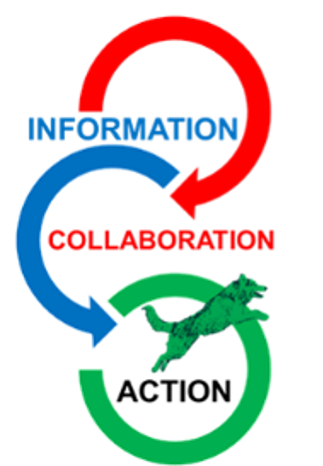 information collaboration action graphic.png