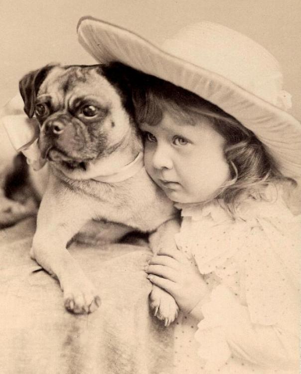 pug and girl.jpg