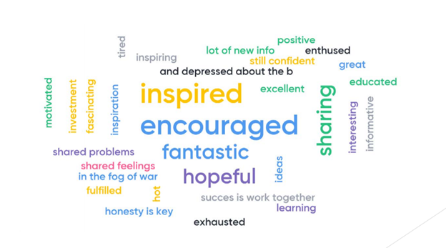 IDHW BSHS word cloud.png