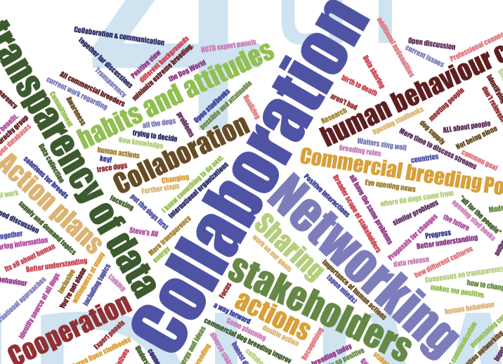 IDHW cloud for blog titles.png