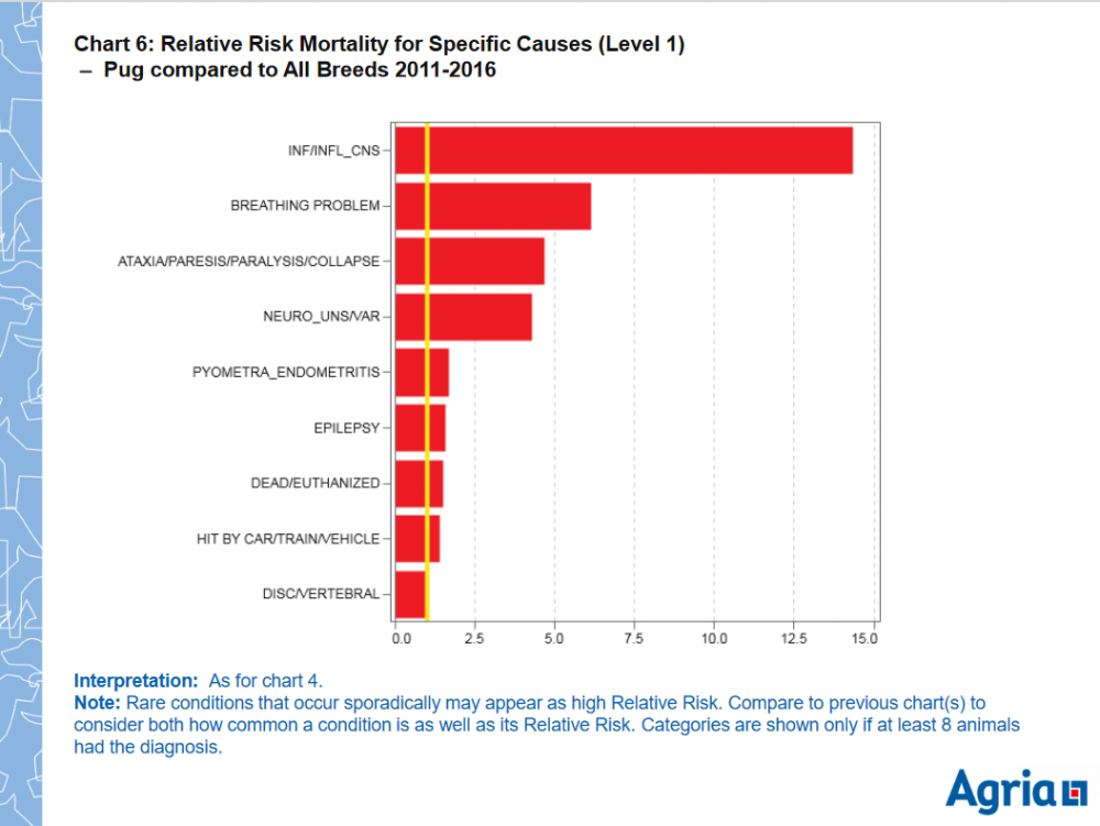 pug relative risk mortality agria 2011-2016.PNG