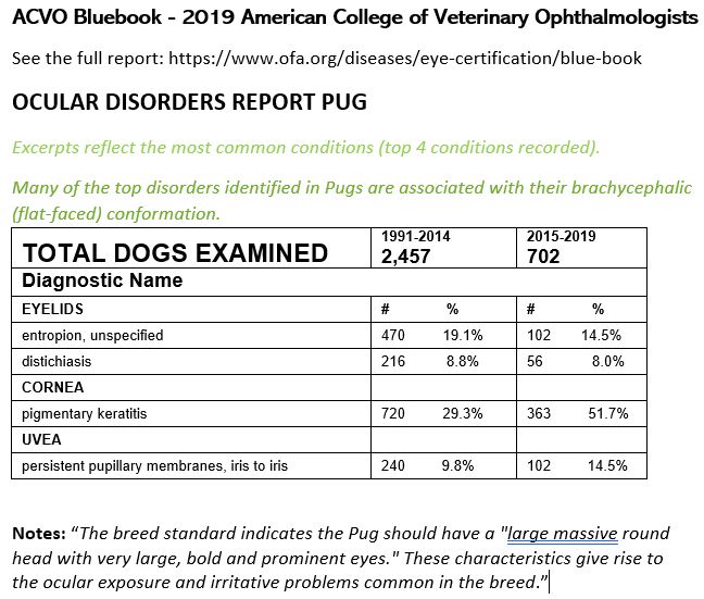 pug-ocular-acvo2019.JPG