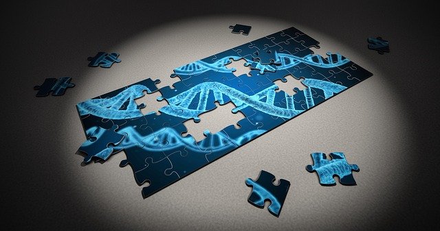 puzzle-2500333_640.jpg