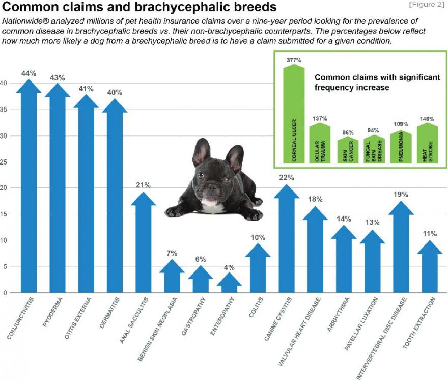 nationwide-brachy claims.JPG