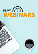 bsava-sem-webinar.gif