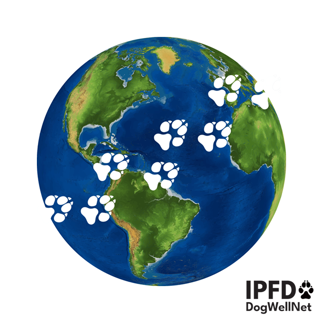 globe paws.png