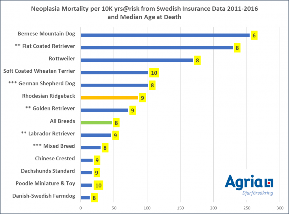 rr and other cancer.png