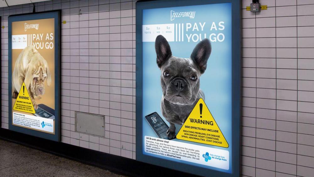 0_EndTheTrend-Telefone4U-Tube-Ad-Featuring-French-Bulldog.jpg