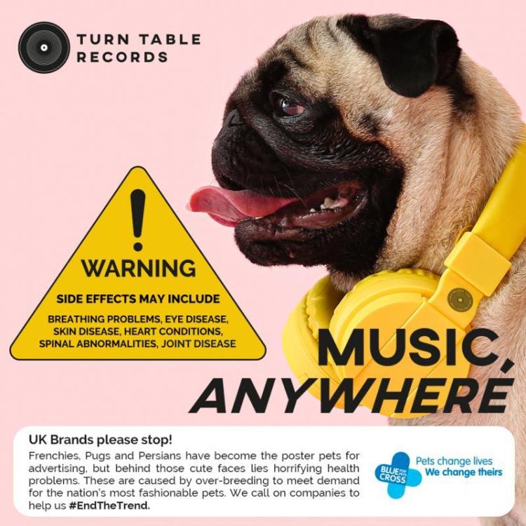 Blue Cross advertising image.jpg