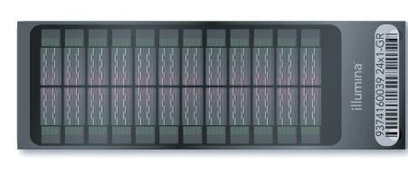 global-screening-array illumina.jpg