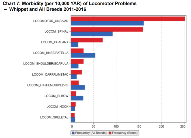 whippet agria 11-16 locomotor.PNG