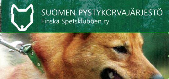 finnish spitz - epi.JPG