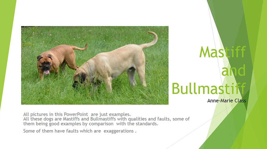 Screenshot 2022-01-17 at 12-48-57 Mastiff and Bullmastiff -- Anne-Marie Class.png