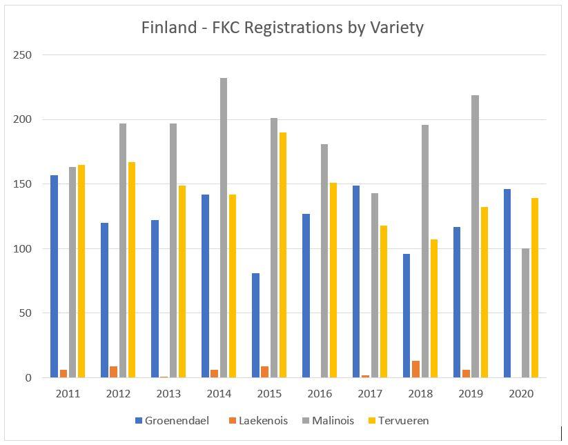 belgian shepherd by variety fkc.JPG