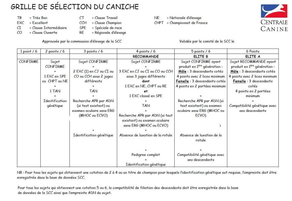 caniche cotation 2022.jpg