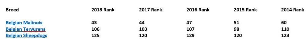 belgians akc rank.JPG