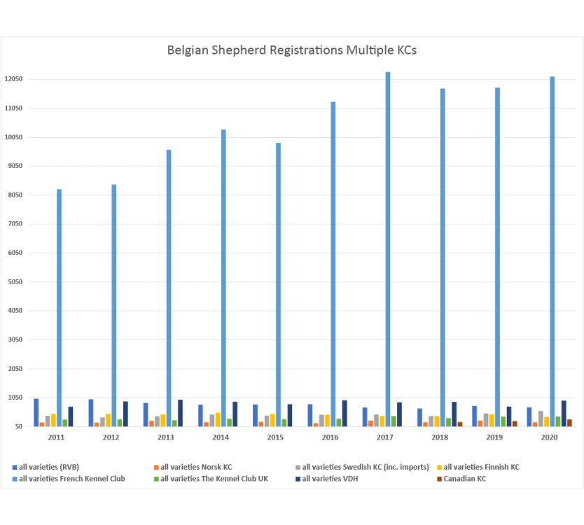 Belgian-Shepherd-Registrations-all-varieties-by-KC.png