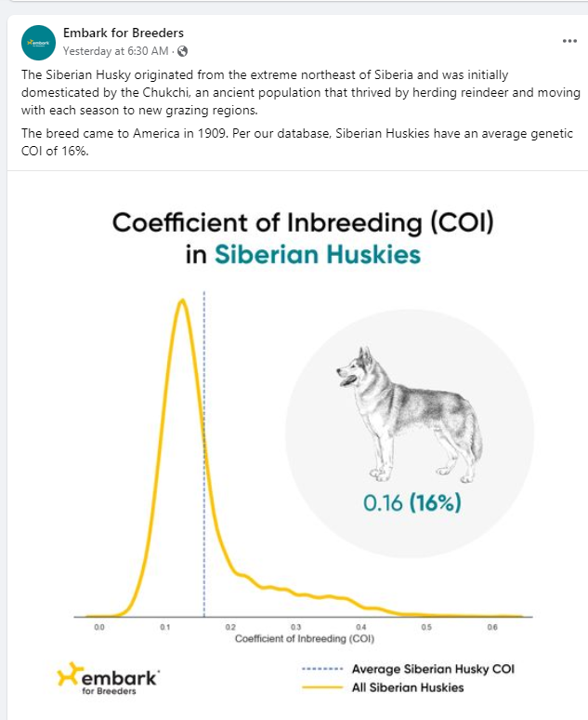 Embark COI Siberian Husky.png