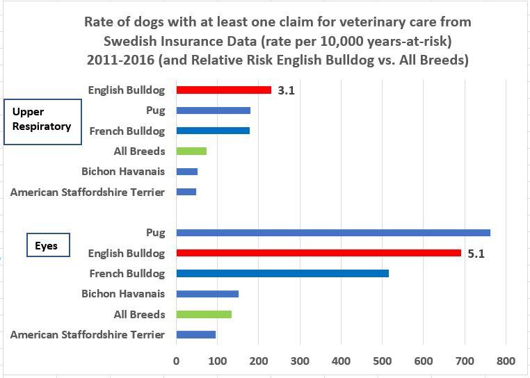 eb resp-eye comp.JPG