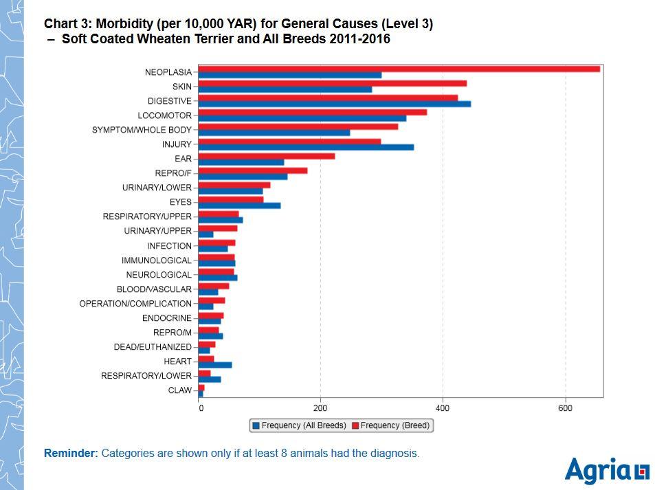 wheaten morbidity agria bp 11-16.JPG