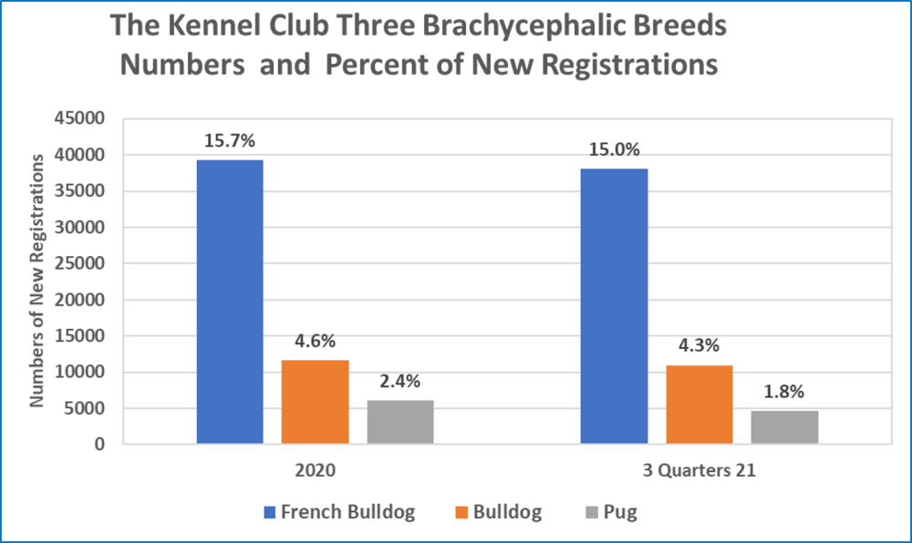 The KC 2020 2021 image.png