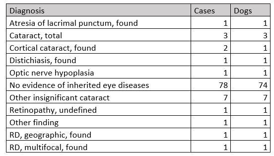 wheaten eye test sw.JPG