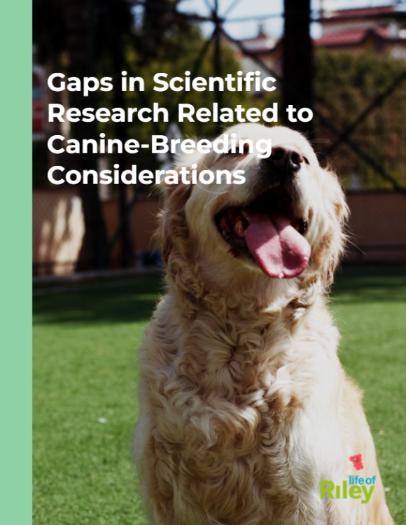 shelterdogs image gaps in scientific research-breeding decisions.png