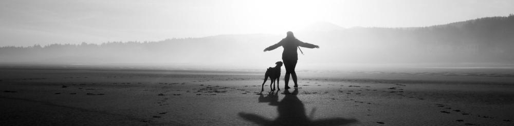 dog beach 2.jpg
