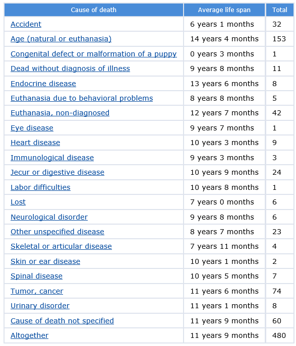 border terrier is ill with infectious disease