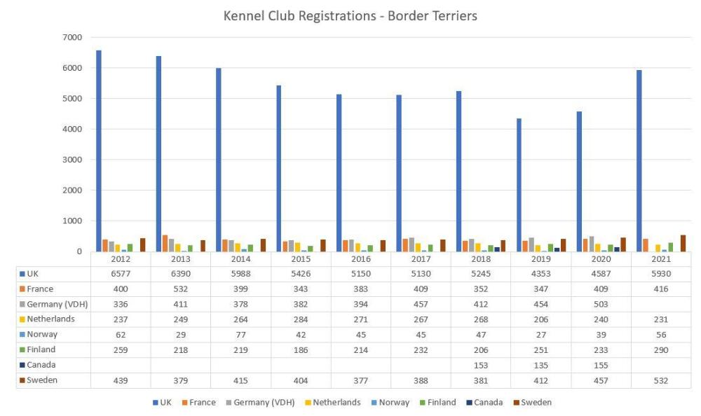 Border Terrier registrations multiple KCs.JPG