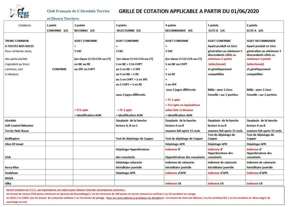 border terrier grille de cotation.JPG