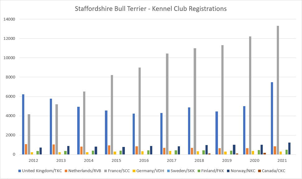 Staffordshire-Bull-Terrier-KC-registrations-multiple-countries.jpg