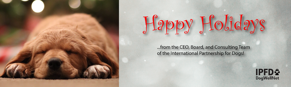 IPFD Holiday Banner.png