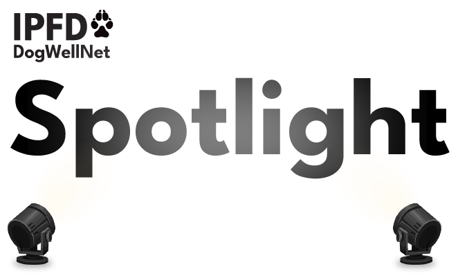 Spotlight 2020.png