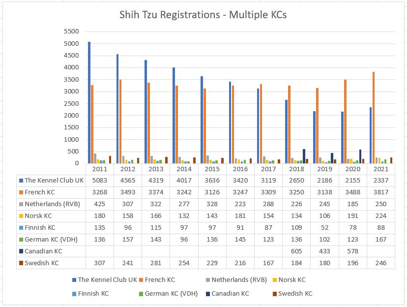 shih tzu registrations multiple kcs.JPG