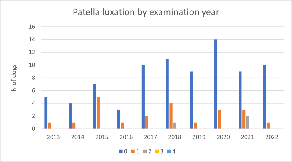 shih tzu FI Patella.png