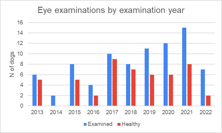 shih tzu FI Eyes.jpg