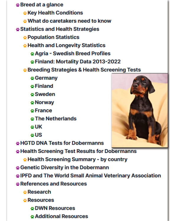 dobie-article-grihp.png