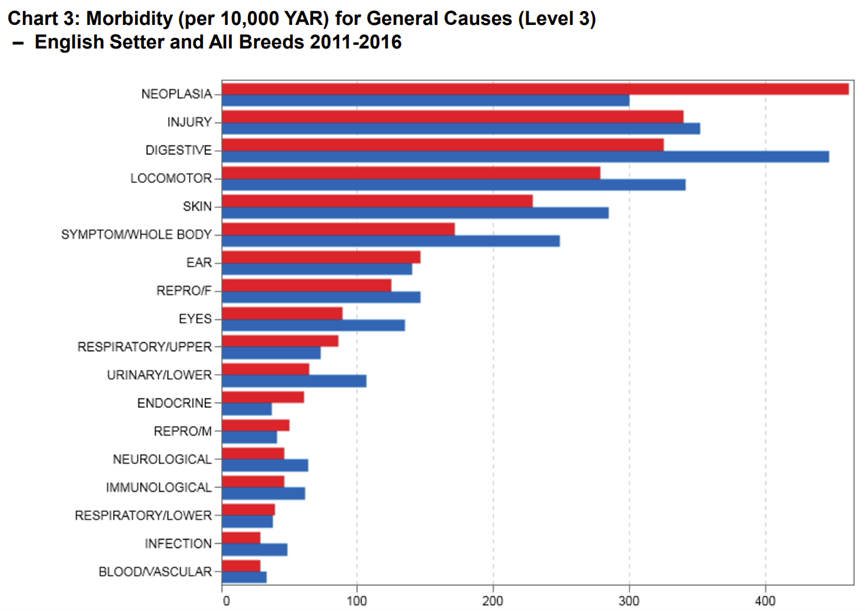 english setter agria 2.png