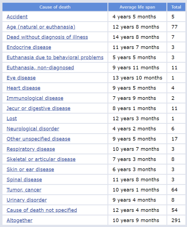 english setter fi aod.png