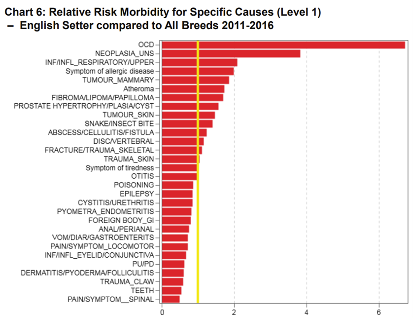 english setter agria 4.png