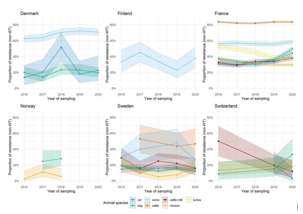 amr eu 2023 research.JPG