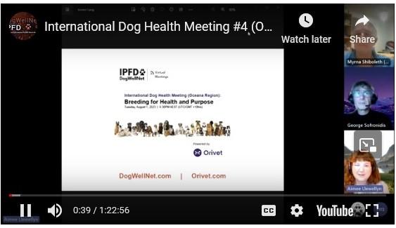 video screen crop.jpg