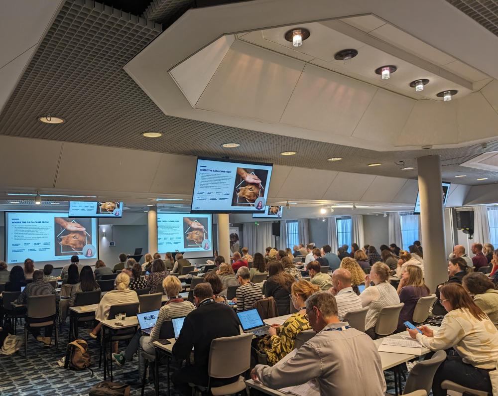 Presentation.jpg