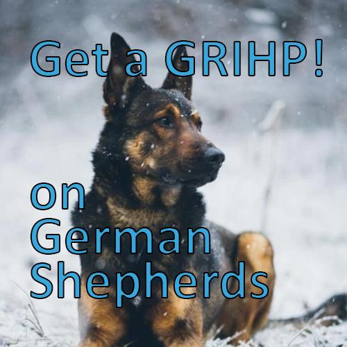 More information about "Get a GRIHP! on German Shepherds"